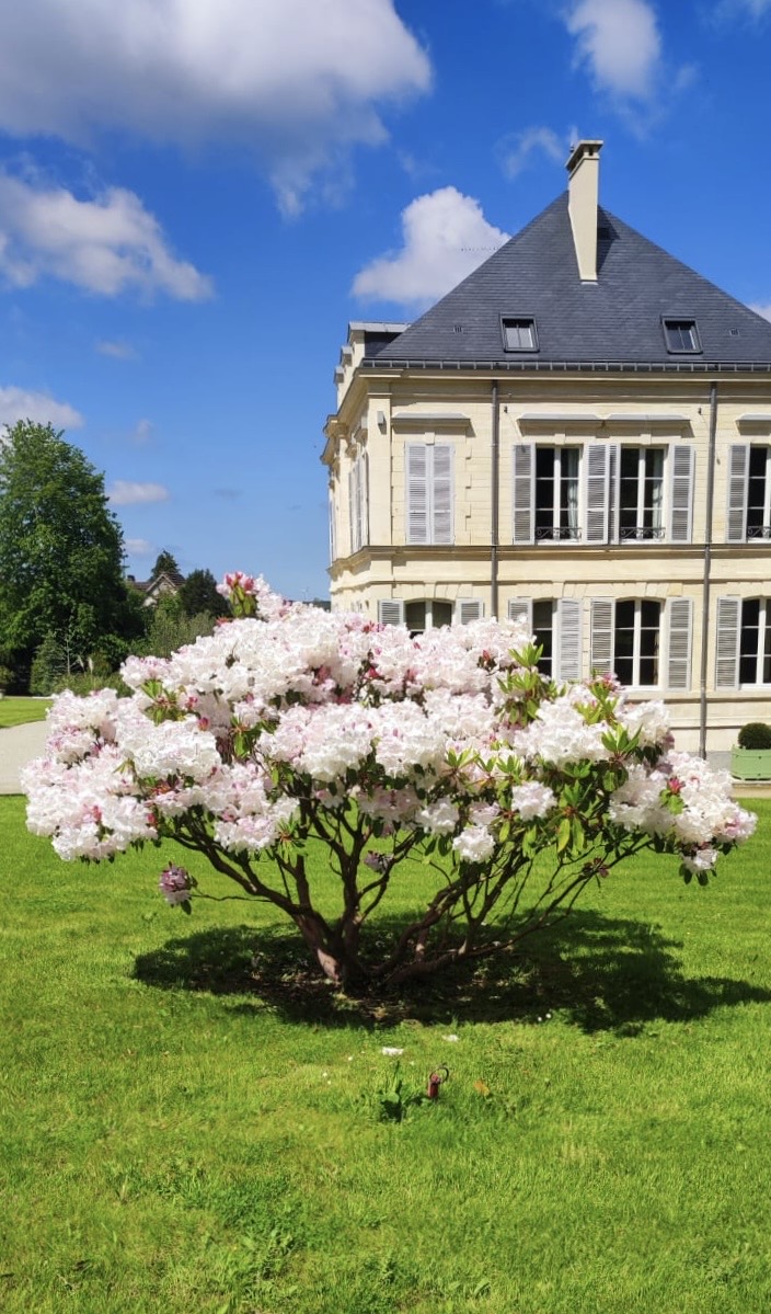 FALAISE - Splendide propriété en cœur de ville - Piscine - Spa - Sauna